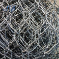 China Pvc Coated Anping Galvanized Hexagonal Wire Mesh